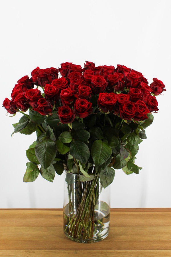 Rote Rose (Red Naomi) – Trend Flowers Wedel